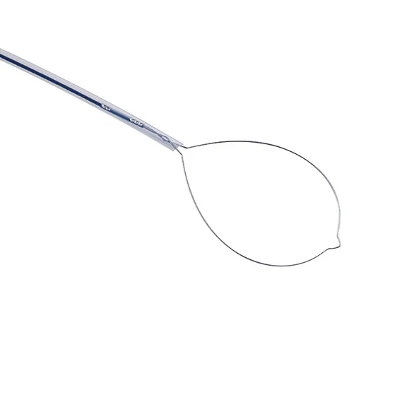 Polypectomy Snare Single Use