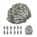 USAFTS