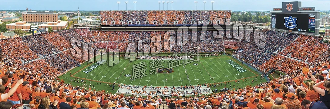 5D DIY Diamond painting Jordan-Hare Stadium Full square Diamond embroidery Cross Stitch University Rhinestone Mosaic gifts art