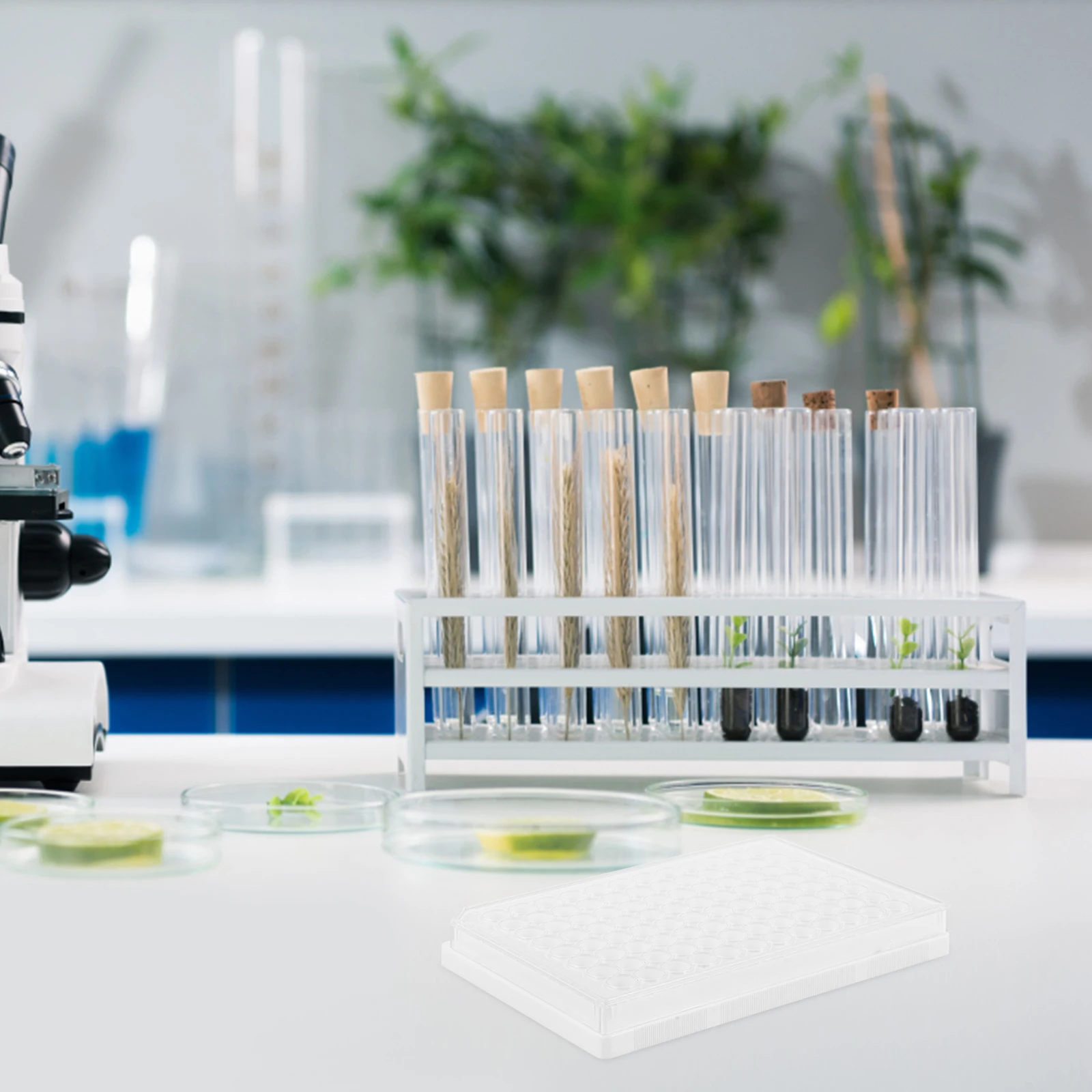 

96 Cell Plate Transparent White Cell Culture Plate For Lab Bottom Lab Tissue Culture Tool for Analysis Reusable Plastic