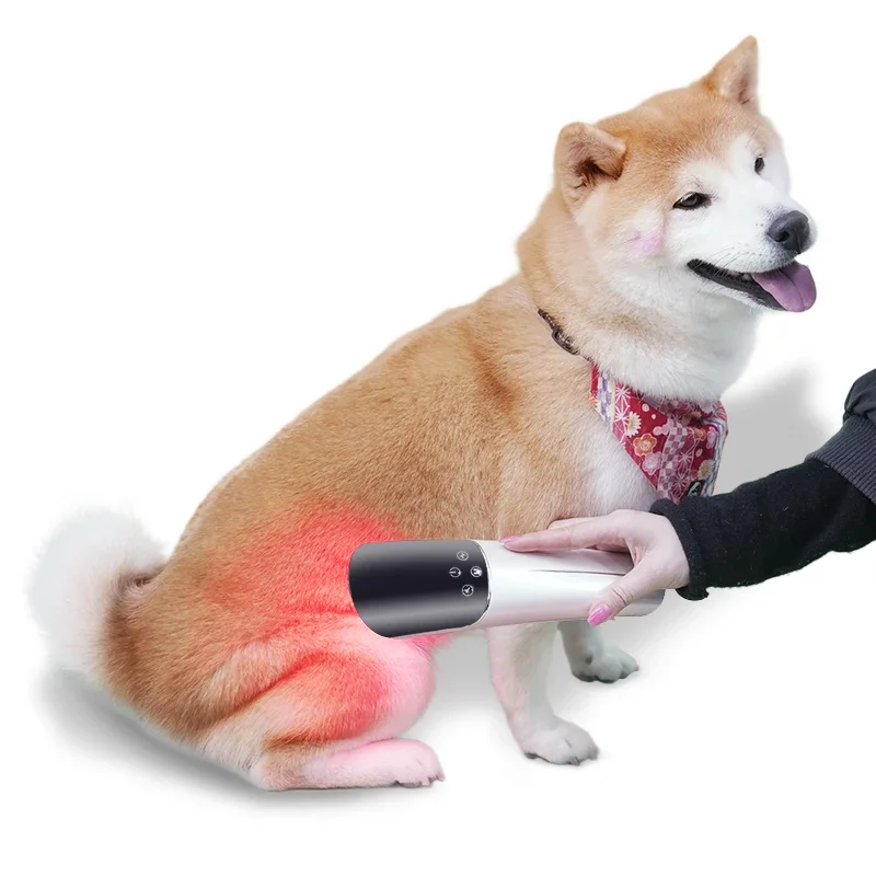 

new portable horse pets homeuse red light therapy equipment back neck pain relief tendon recovery