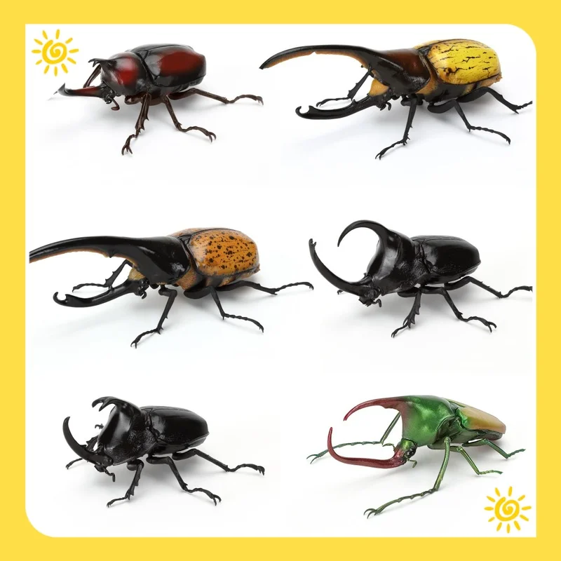 Bandai Twisted Egg Biological Big Picture Beetle Collection 09 Unicorn Fairy Big Dipper Simulation Insect Ornament In Stock