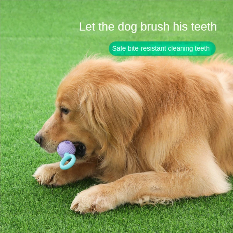 Interactive Dog Chew Toy, Pet Training Toy, Chewable Leaky Ball, Teething Stick, Teeth Gel, Teeth Cleaning, TPR