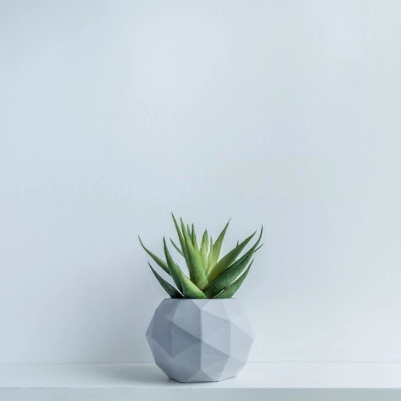مجموعة بونساي عصارية صناعية صديقة للبيئة - نباتات صبار بلاستيكية صغيرة واقعية للمكتب المنزلي وديكور طاولة الزفاف #5