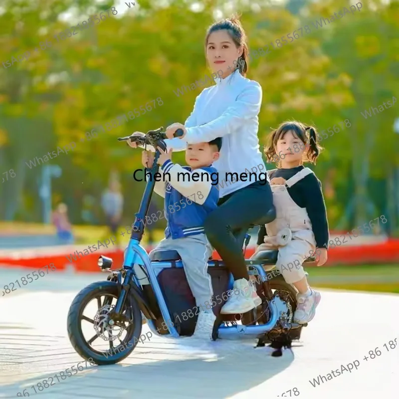 Adults' Lithium Ion Electric Bicycle for Adults Lightweight Magnesium Alloy Men's and Women's Commuting Bike Power Assisted Bike