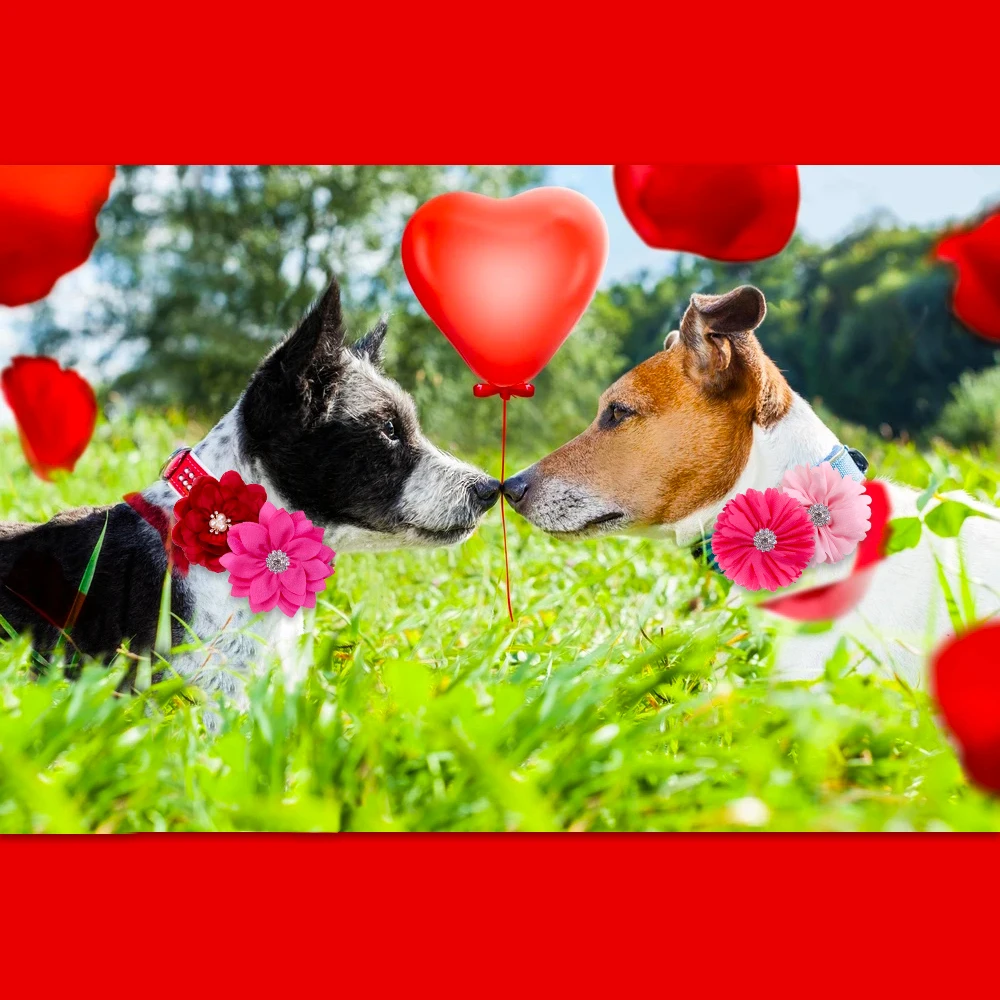 50pcs Valentine's Day Pet Bowties Sliding Pet Dog Collar Accessories Small Dog Bow Tie Dog Accessories For Small Dogs Luxury