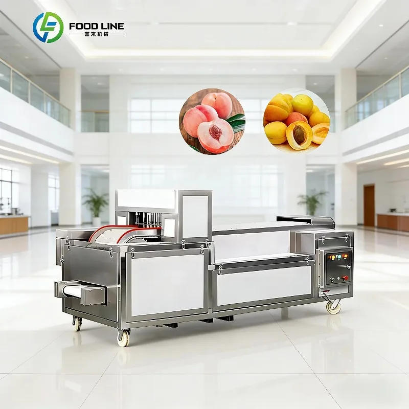 Industrial Cherry Destemer Efficient Dry Prune Pitting Device Red Date Seed Removing Machinery Custom Supply