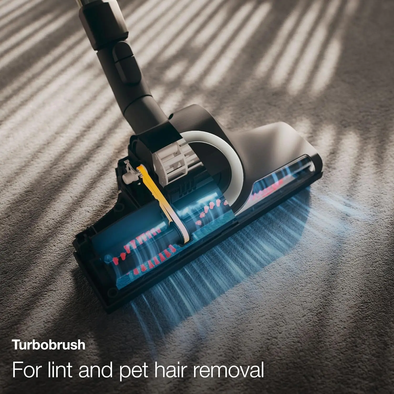 Classic C1 Turbo Team Bagged Canister Vacuum, Tech Blue - Portable, Household