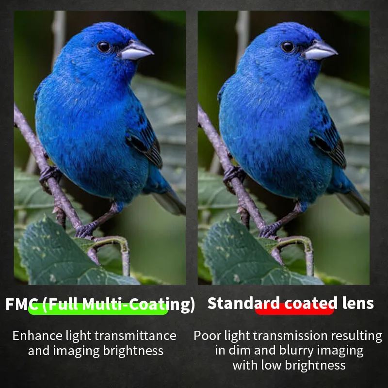 Shooin Optics SO3 10x50 HD Binoculars FMC For Outdoor Camping Hunting Bird Watching - view 6