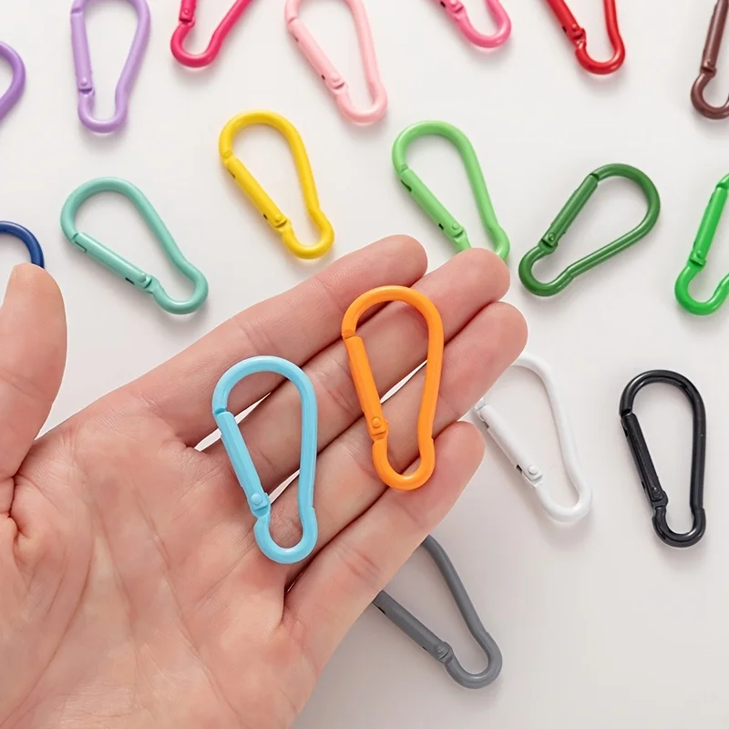 Multicolor Key Charms and Keychains Spring Clips Set