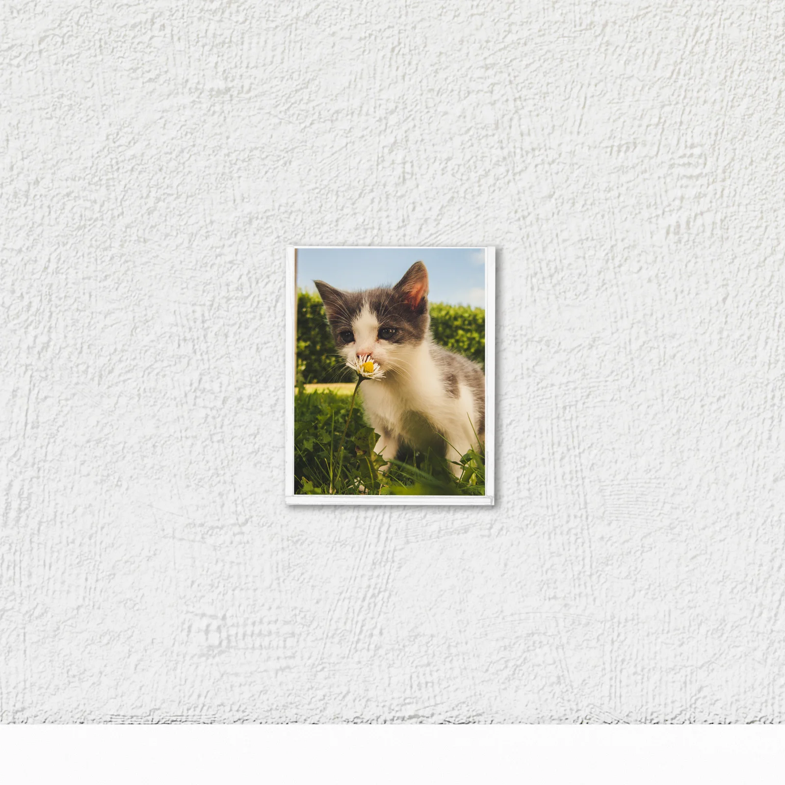 

4Pcs Acrylic Card Slot Card Holders Dual Layer Design Office Essentials Brochure Organizer Brochure Holder