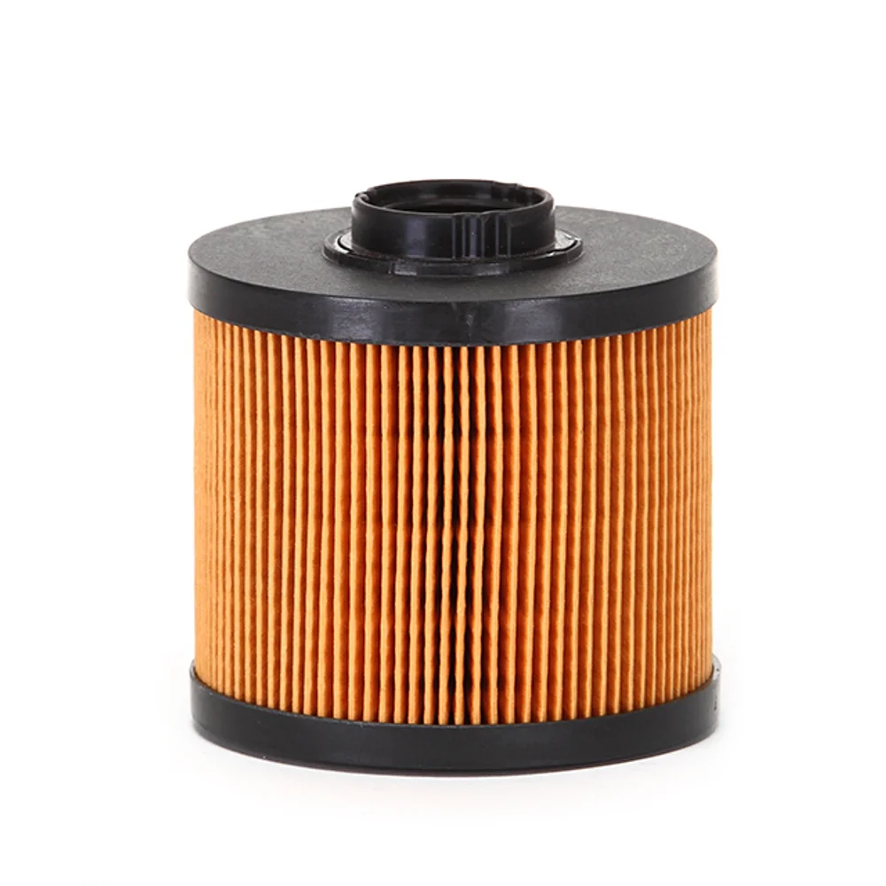 

High Performance P01006R100 Fuel Filter Factory Priced New Condition fuel filter sk75-8