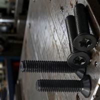 Black Zinc Torx Flat Head Machine Screw M2 M2.5 M3 M4 M5 M6 M8 304 Stainless Steel Corrosion Resistant DIN 7991