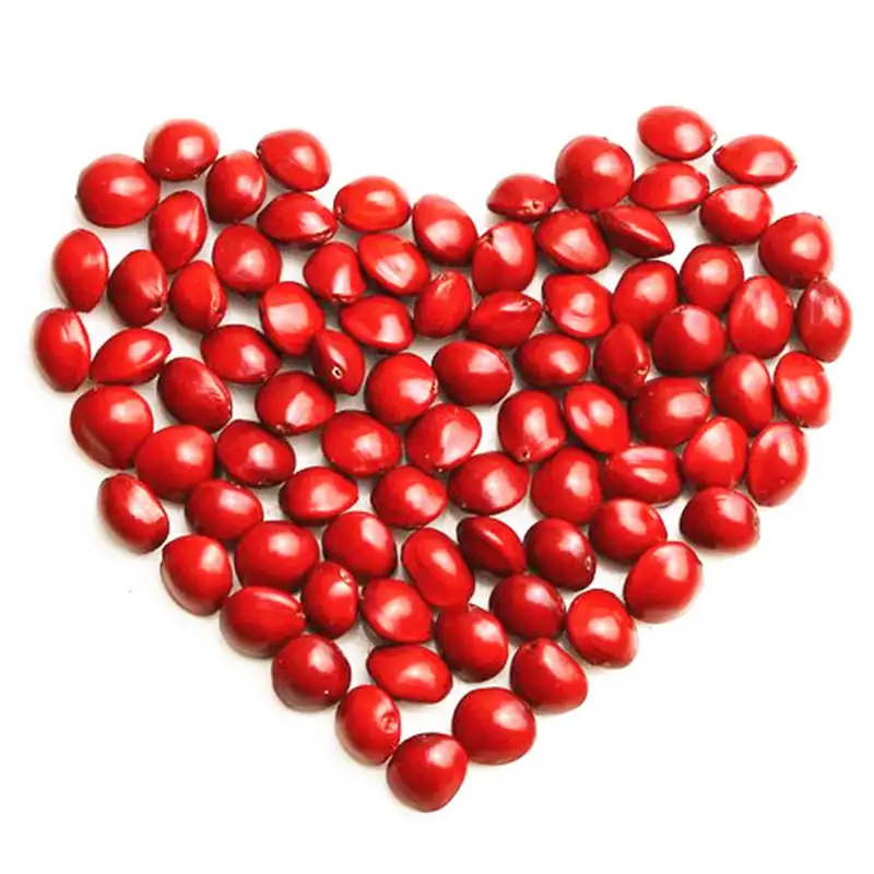 

10PCS Chinese Red Heart Bodhi Plant Beads Bracelet and Necklace Gift for Lovers TNL191
