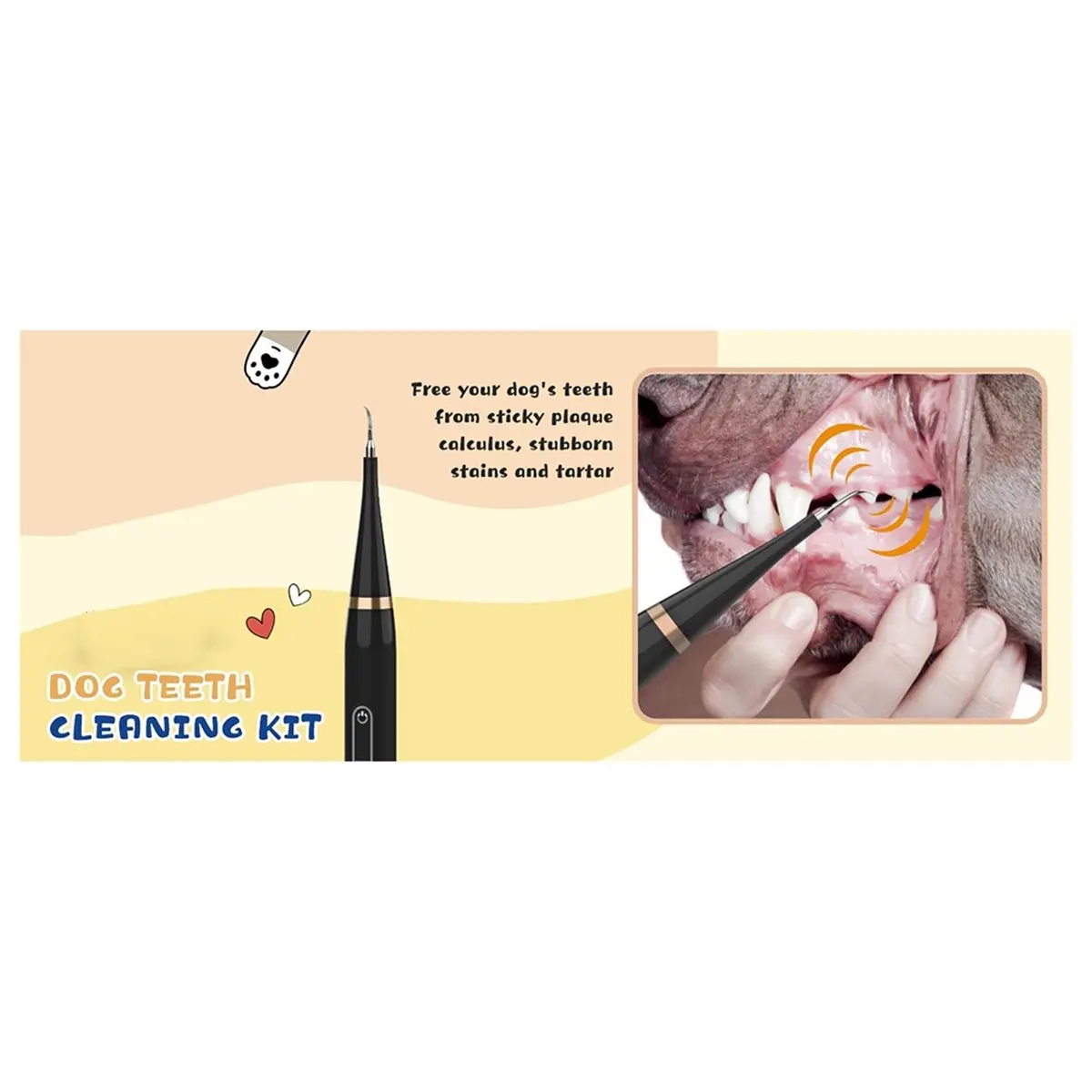 Brosse à dents électrique pour chiens Belong Dog, éliminateur de plaque et de tartre, 5 modes, 3 têtes de brosse, nettoyage en p
