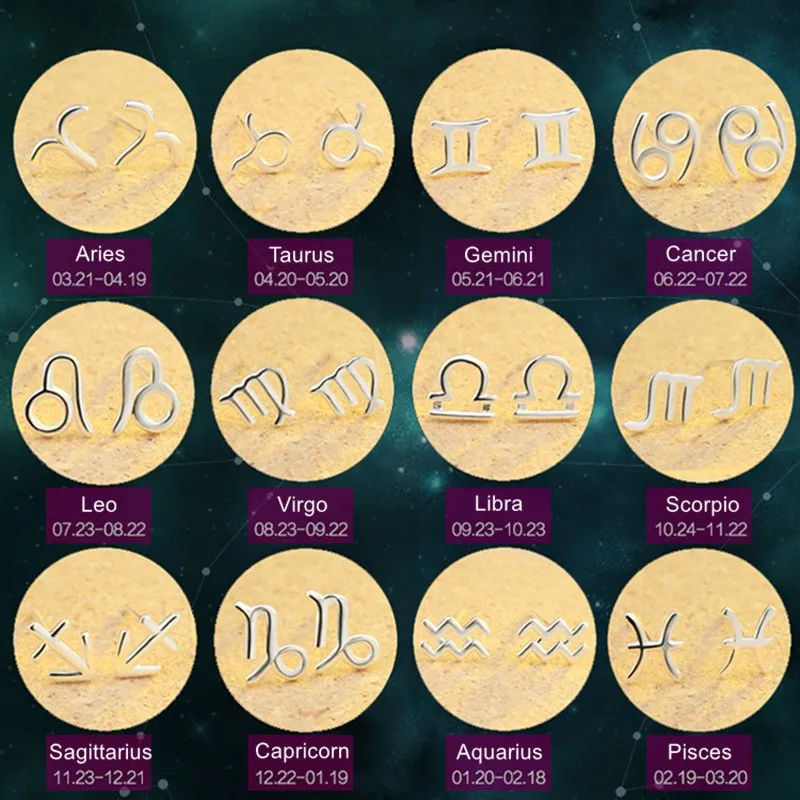 Lovely Zodiac Signs 12 Constellations Stud Earrings for Women Girl