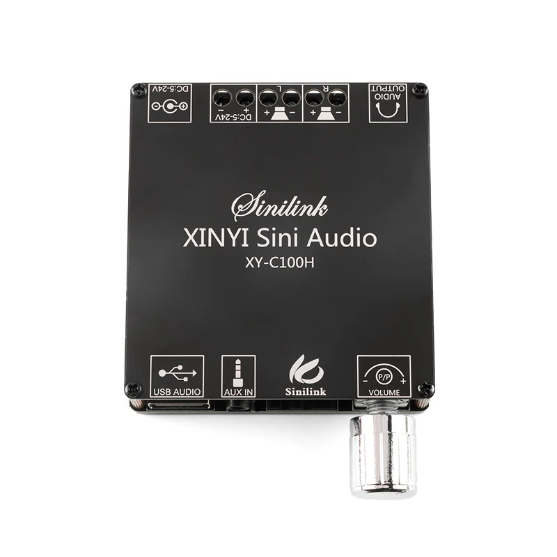 XY-C100H 100W * 2 H…