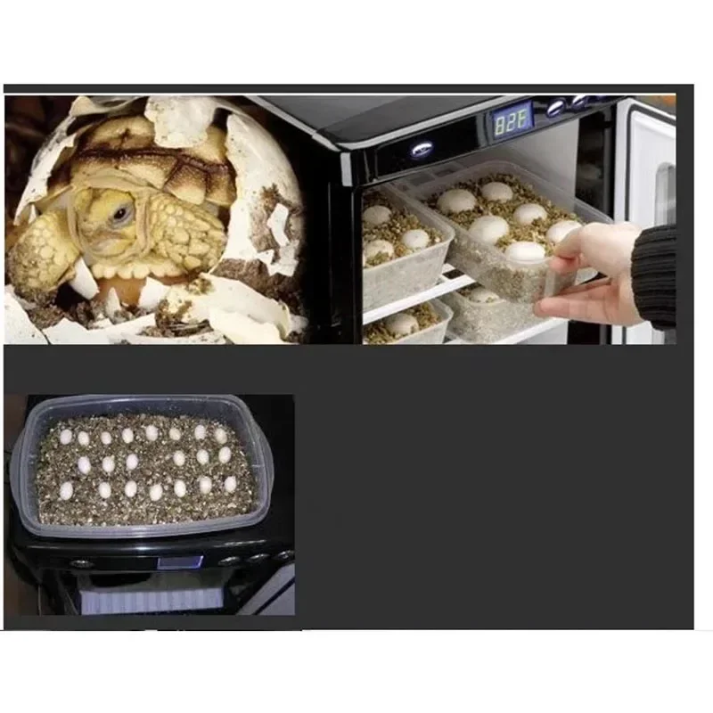 Incubator 25L Reptile Digital Science Laboratory Cooling and Heating 5-60C Suitable for Reptiles
