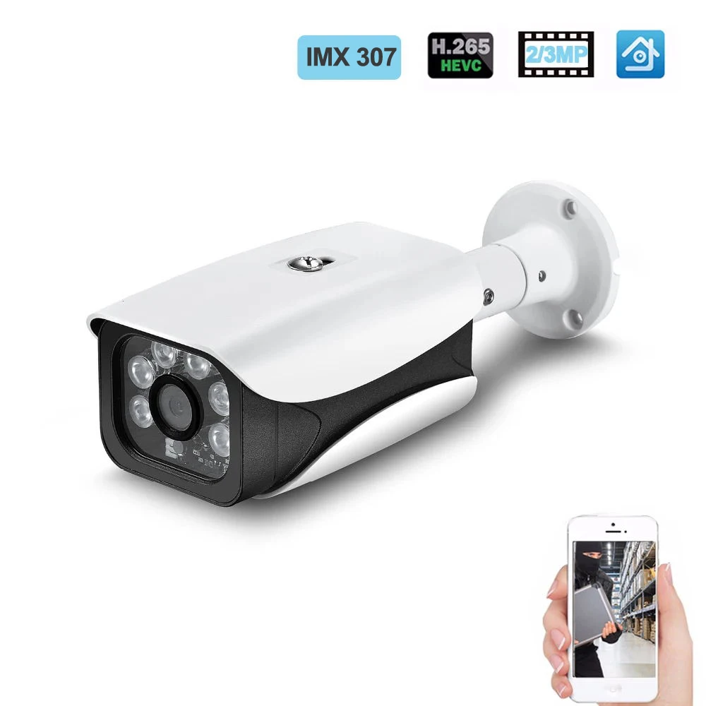 Hamrolte IP Camera H.265 IMX307 UltraLow Illumination 3MP 2MP Outdoor Waterproof  CCTV Camera DC12V 48V POE Module Optional