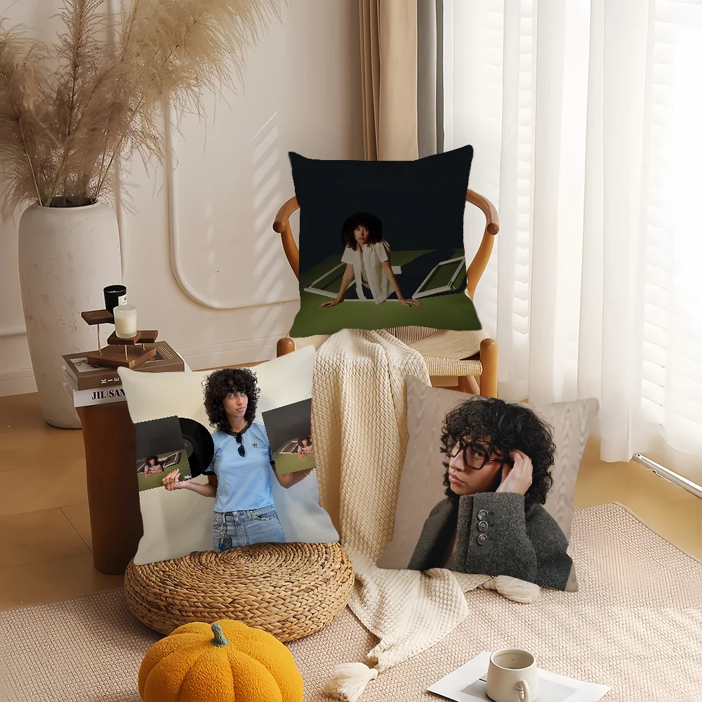 Singer Towa Bird American hero Pillow Case Home Decoration Cushion Cover Suitable For Office Sofa Bedroom Car