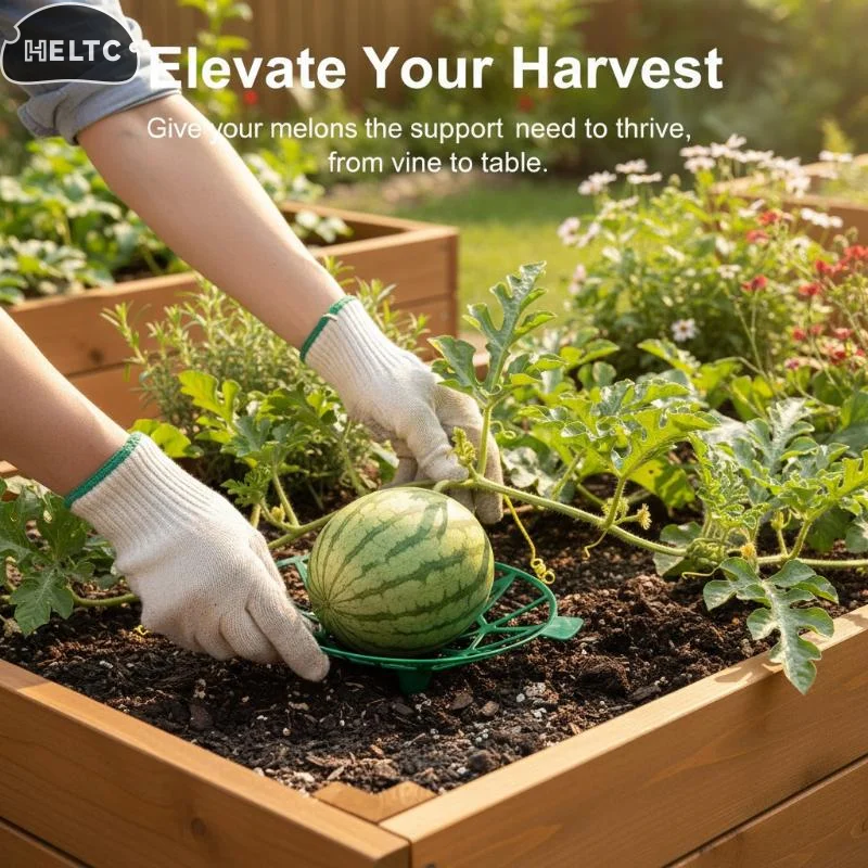 10Pc Support Tool Melon Cradle Pumpkin Support Strawberry Supports Holder Protect Watermelons From Ground Rot Holds Up To 8 Lbs