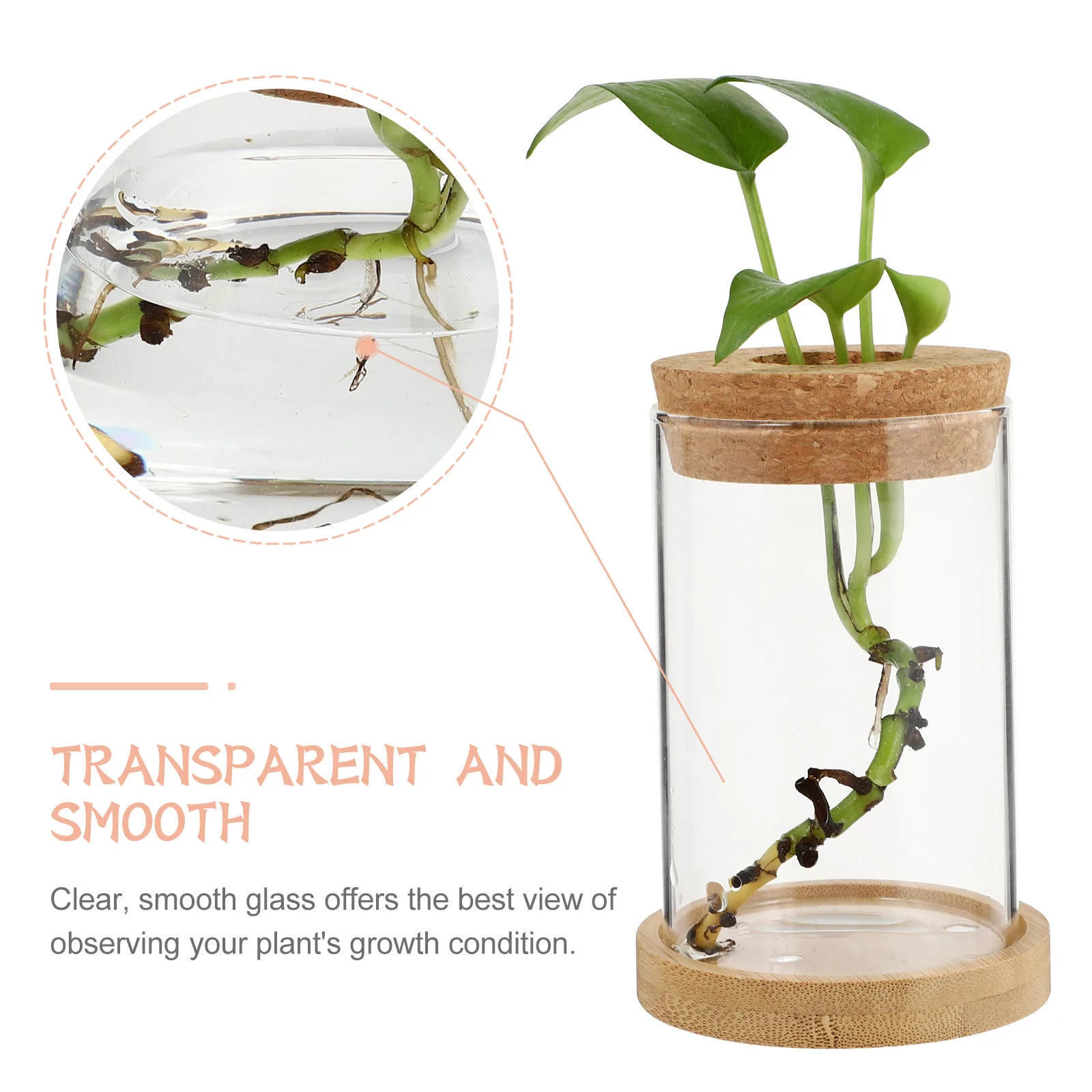 

2Pcs Desktop Glass Vases Chic Hydroponics Container Suitable Size Home Decor Hydroponic Plants Vase Glass Vase