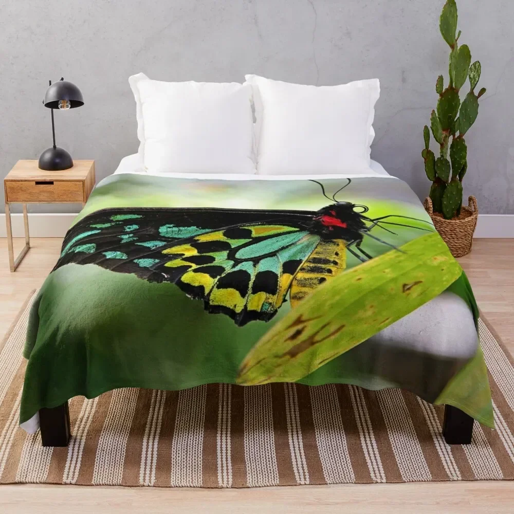 Cairns Birdwing Butterfly Throw Blanket Bed covers Shaggy Soft Multi-Purpose Blankets