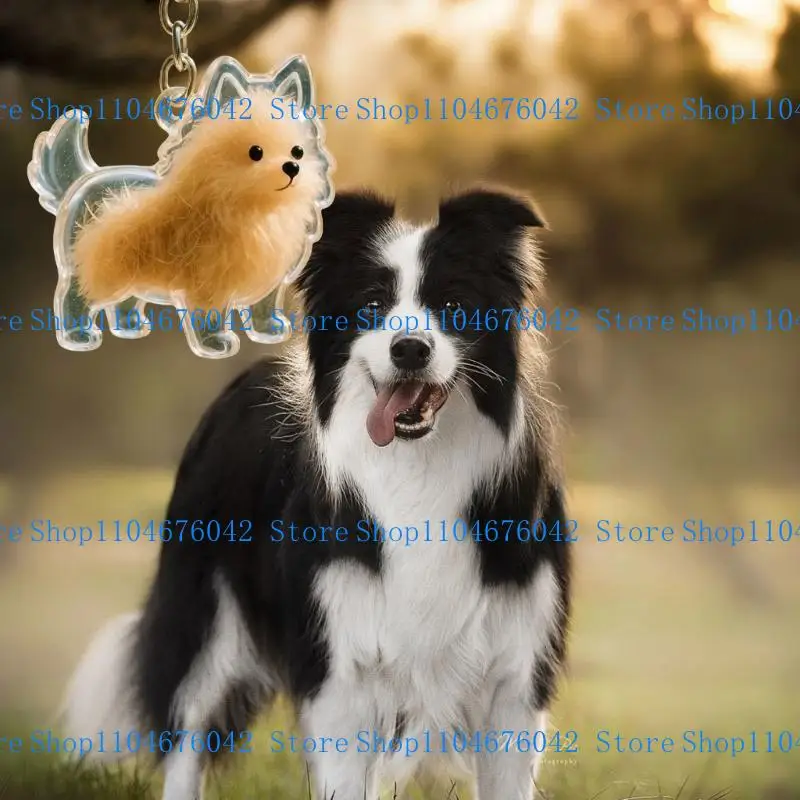 5ASD CLEAR PET MEMORIAL KEYCHAIN ​​PET HAIG HAIG HAIRGE