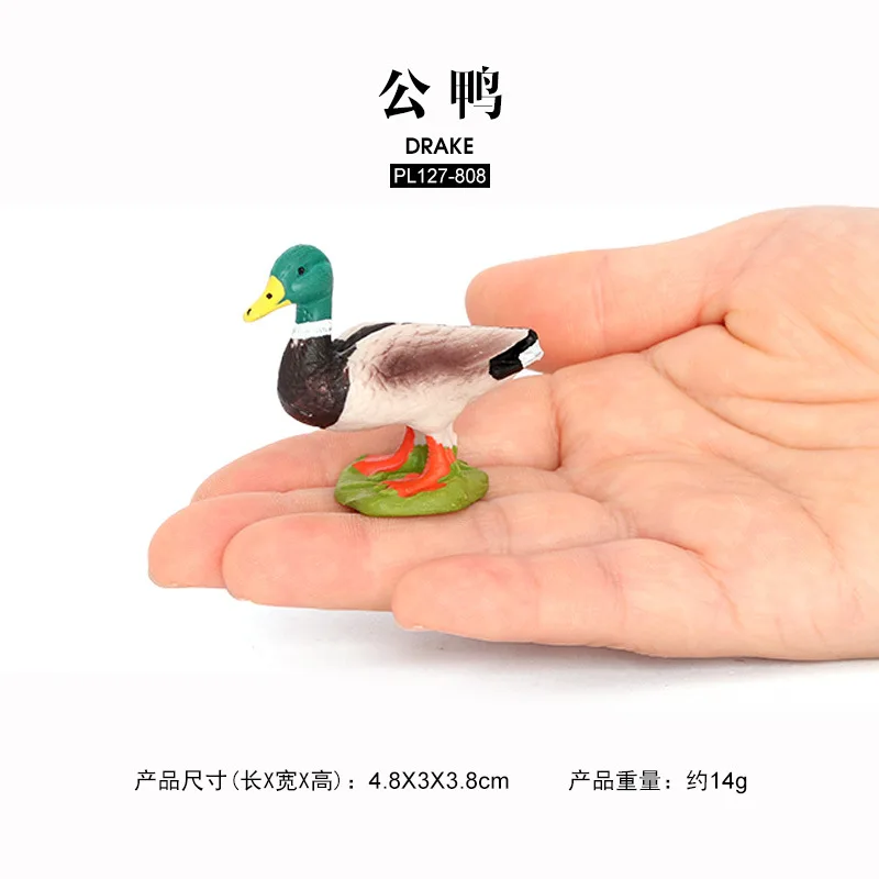 محاكاة مزرعة نماذج للحيوانات مزرعة ألعاب بلاستيكية بجعة الدجاج بطة خنزير الأطفال التنوير زخرفة المعرفية