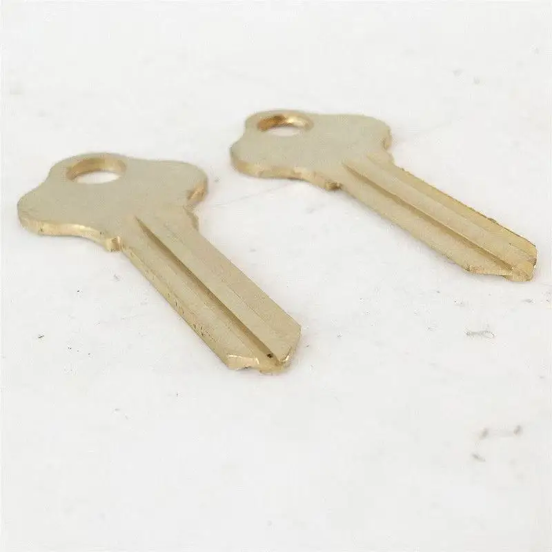10PC  Universal Double Lion Five Pit Key Embryo Suitable for Double Slot Old Style Wooden Door Lock Embryo