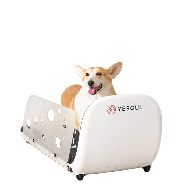 Factory Direct Sale Temperature Adjustment Dog Running Machine Pet Treadmill With Feeding Function