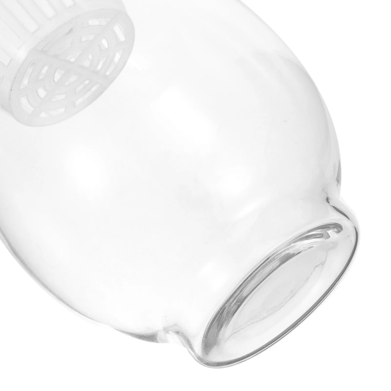 

Creative Transparent Glass Hydroponic Vase Decorative Desktop Planter for Home Office Flower Arrangement Adorn