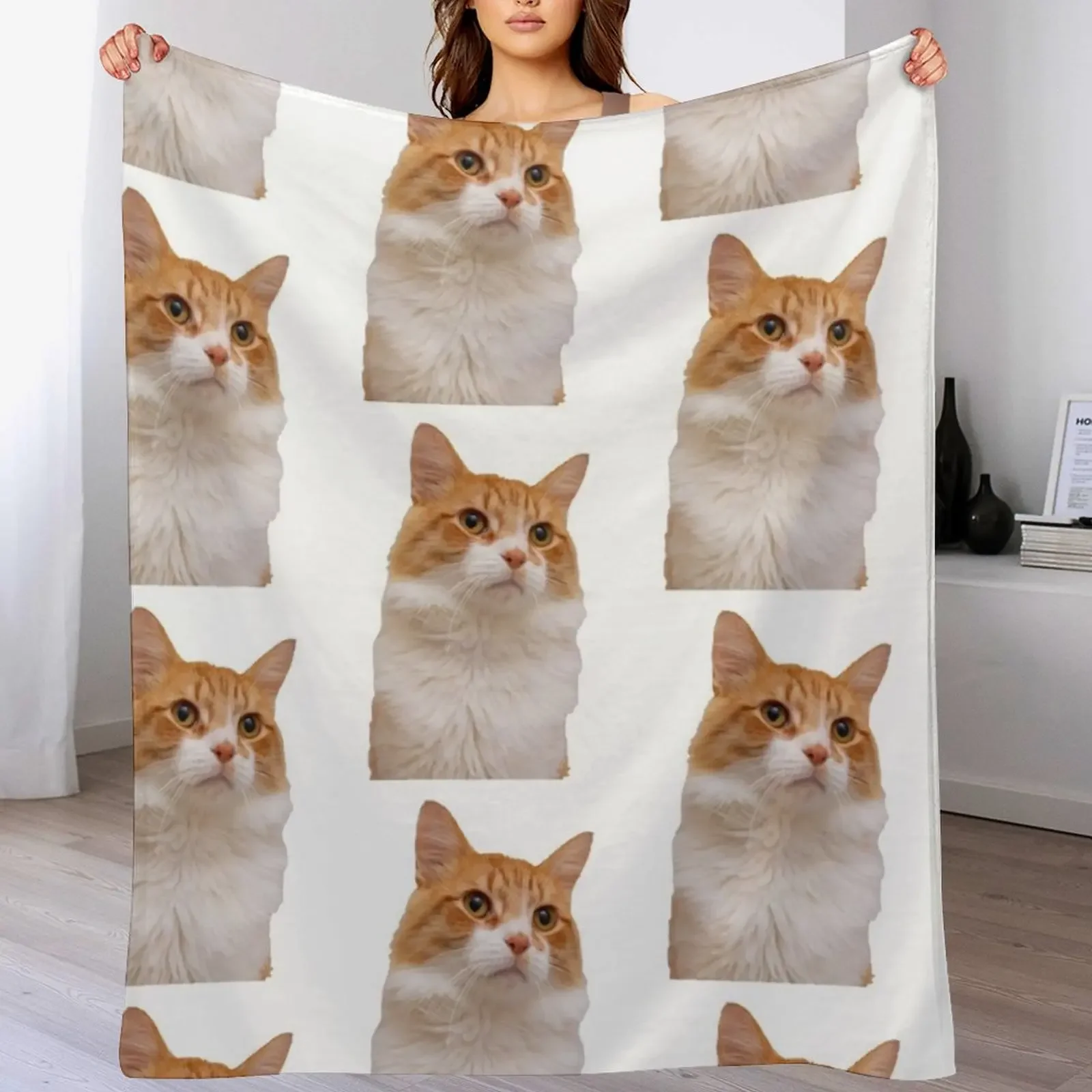 

New Handsome Ginger Cat Throw Blanket Luxury Throw Plush Blankets