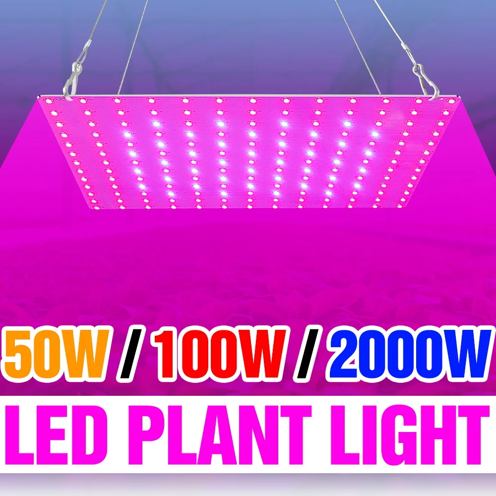 

200W LED Grow Light Full Spectrum Quantum Board Plant Cultivation Fill Lamp Indoor Greenhouse Tent Vegetable Flower Lighting