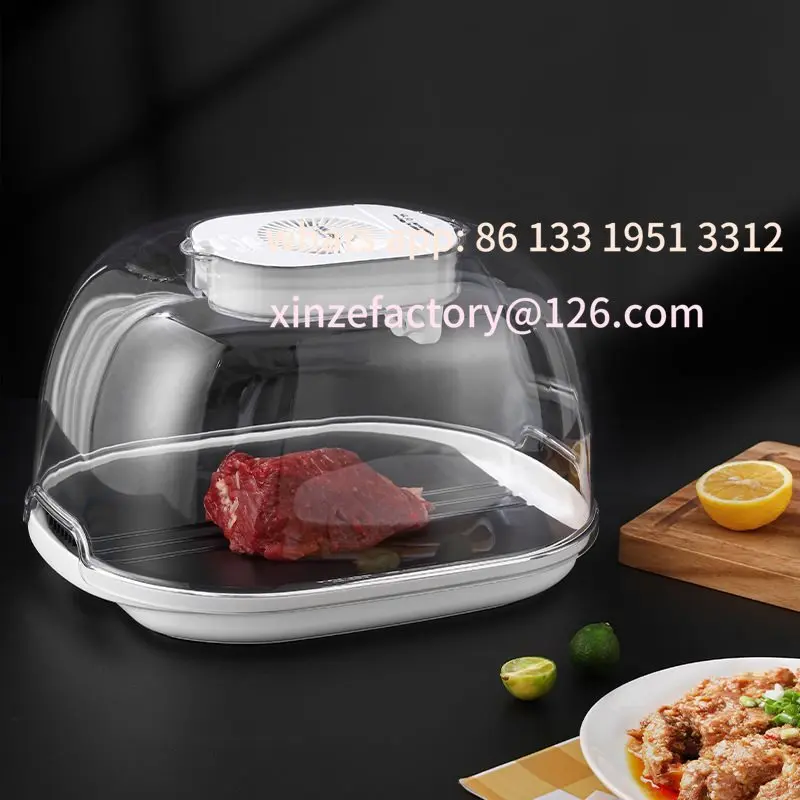 Food constant temperature preservation quick thawer steak heat conducting plate multi-functional plate atomizing thawing meat ma