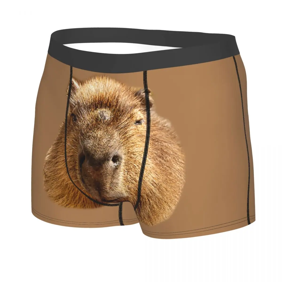 Custom Capybara Dozing In The Sunshine Printing Underwear Men Sexy Printed Customized Boxer Shorts Panties