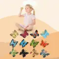 Butterfly-12pcs