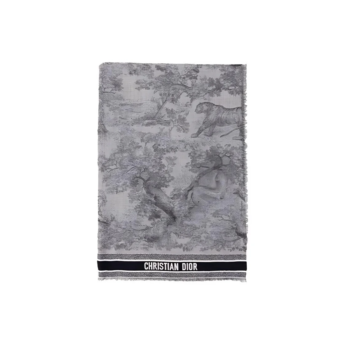 

DIOR Knit Scarves Women's 14JOU140I142-C583