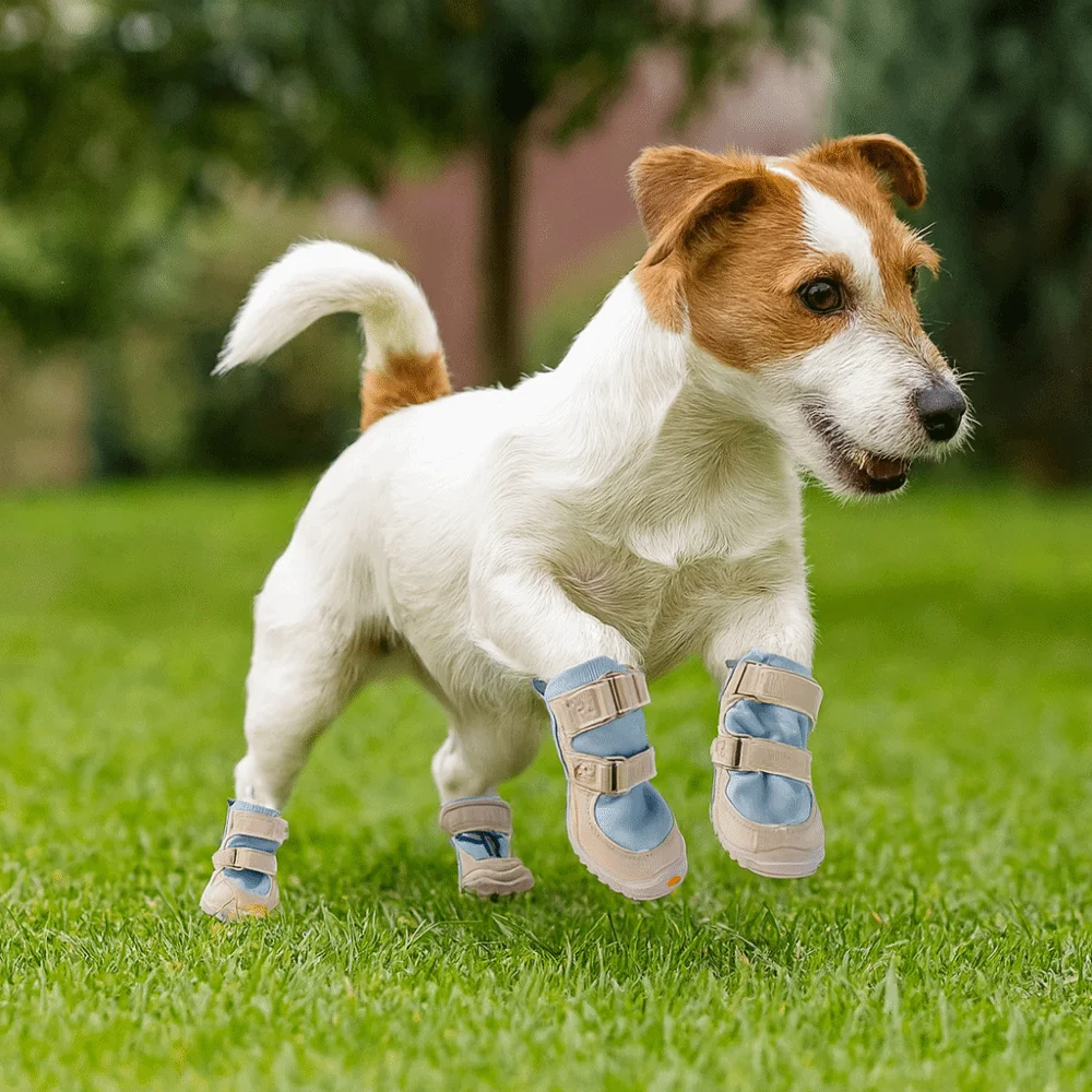 4pcs/set Warm Dog Cotton Shoes Waterproof Soft Bottom Winter Dog Boots Breathable Anti-dirt Dog Snowshoes Autumn Winter