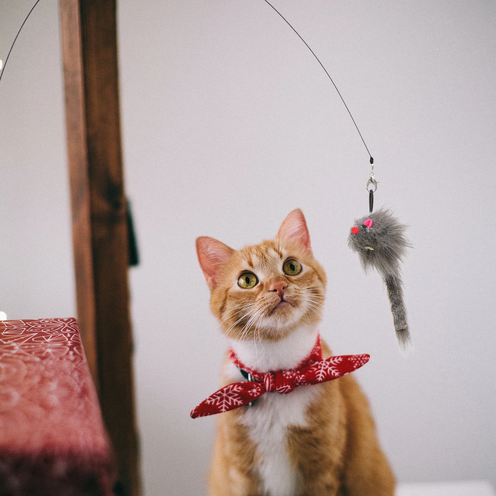 

Cat Teaser Safe Pet Accessory Pet Accessory Kitten Toy H Sucker Cat Teaser held Household Sucker Steel WirePet Supplies