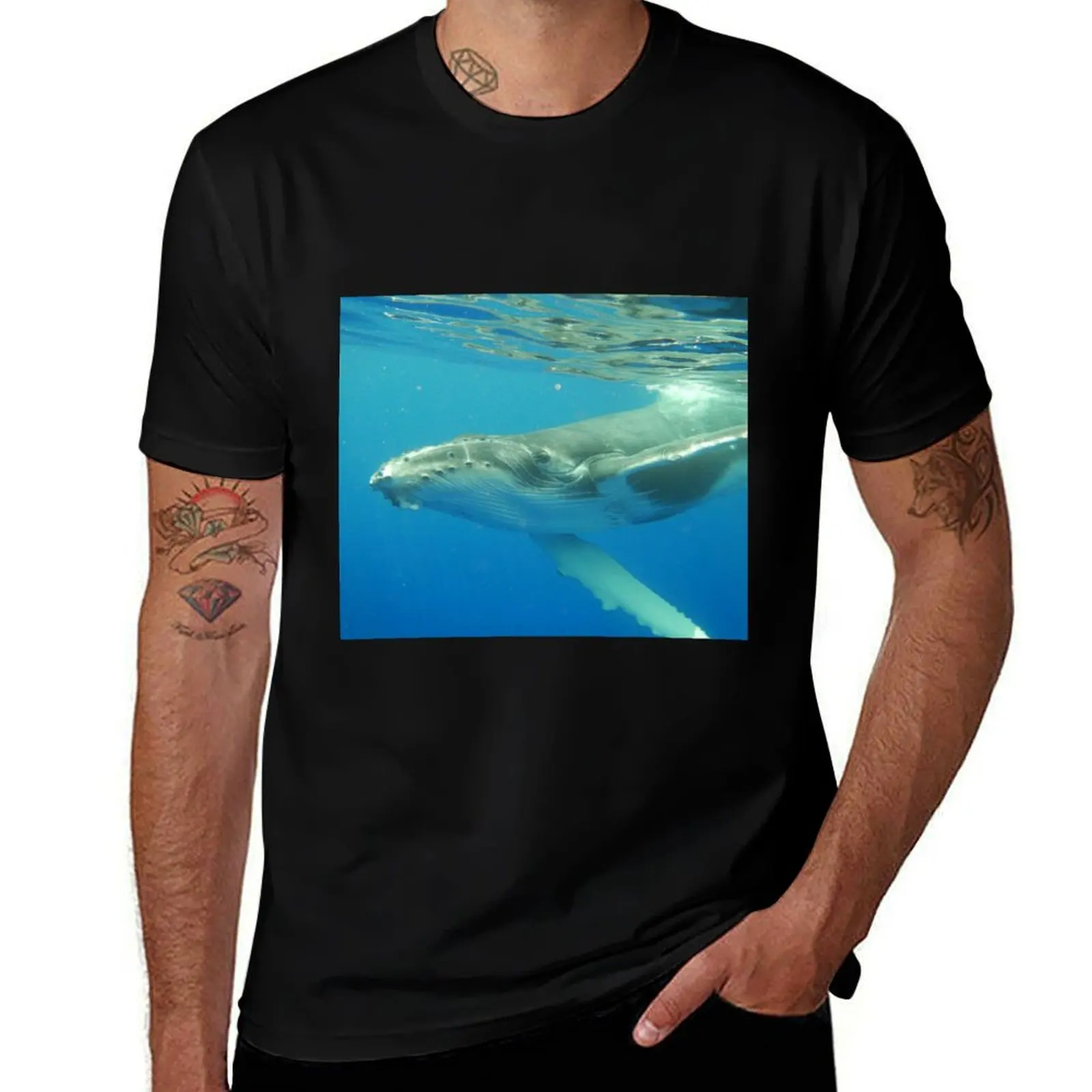 Friendly Humpback whale calf T-Shirt graphic tee shirt vintage clothes heavyweights oversizeds mens t shirt