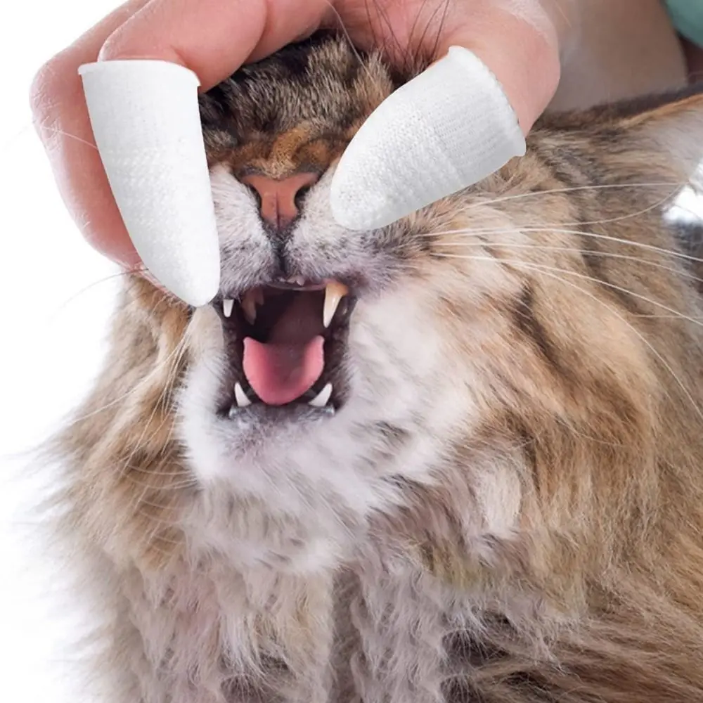 

Mini Soft Non-woven Wear-resisting Bite resistance Fingers Toothbrushes Oral Cleaning Tool Pet Dental Brush Dog Toothbrush