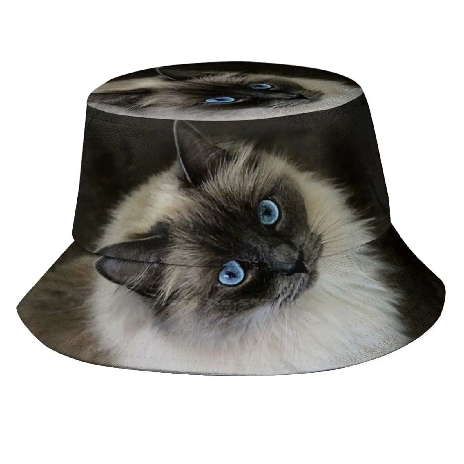 M`lady Korean Caps Funny Beach Bucket Hats Lou Cats Ragdoll Pets Animals Ladymoose