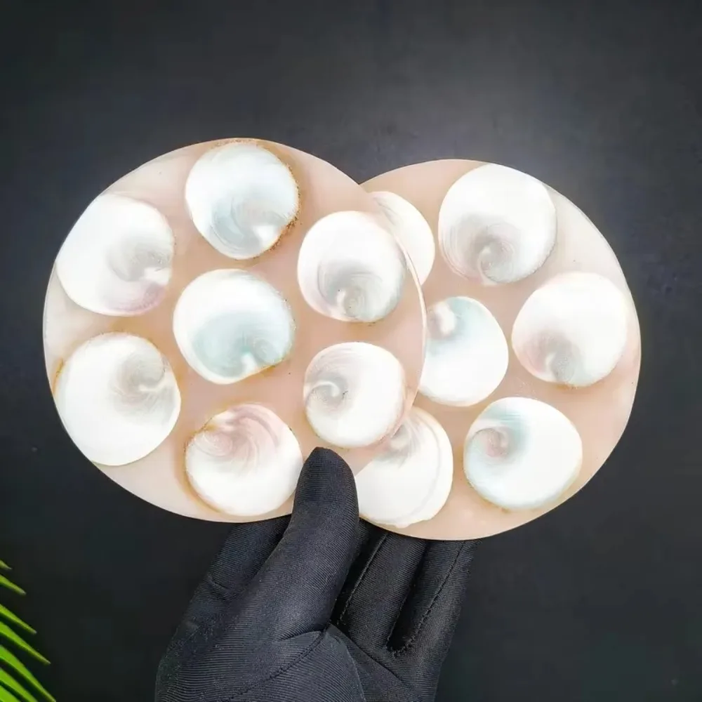 a set Shiva Shell Disc Rock Mineral Gemstone Round Slab, Rock Mineral Coaster, Crystal Circular Plate,Mineral Stone Dish Slab