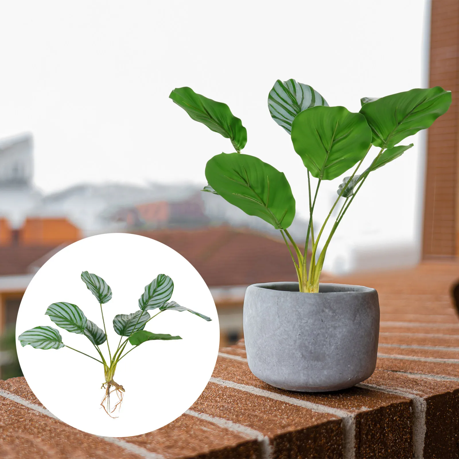 1 Pieza de Planta Artificial de Calathea Verde en Maceta de Plástico, Decoración para Oficina, Estudio, Balcón, Escritorio, Bonsái Artificial