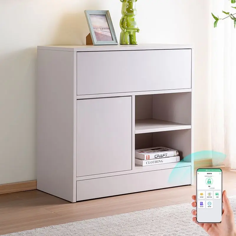 

Concealed locker, multi-functional hidden anti-theft, large-capacity insurance, dining side lock, simple storage middle cabinet