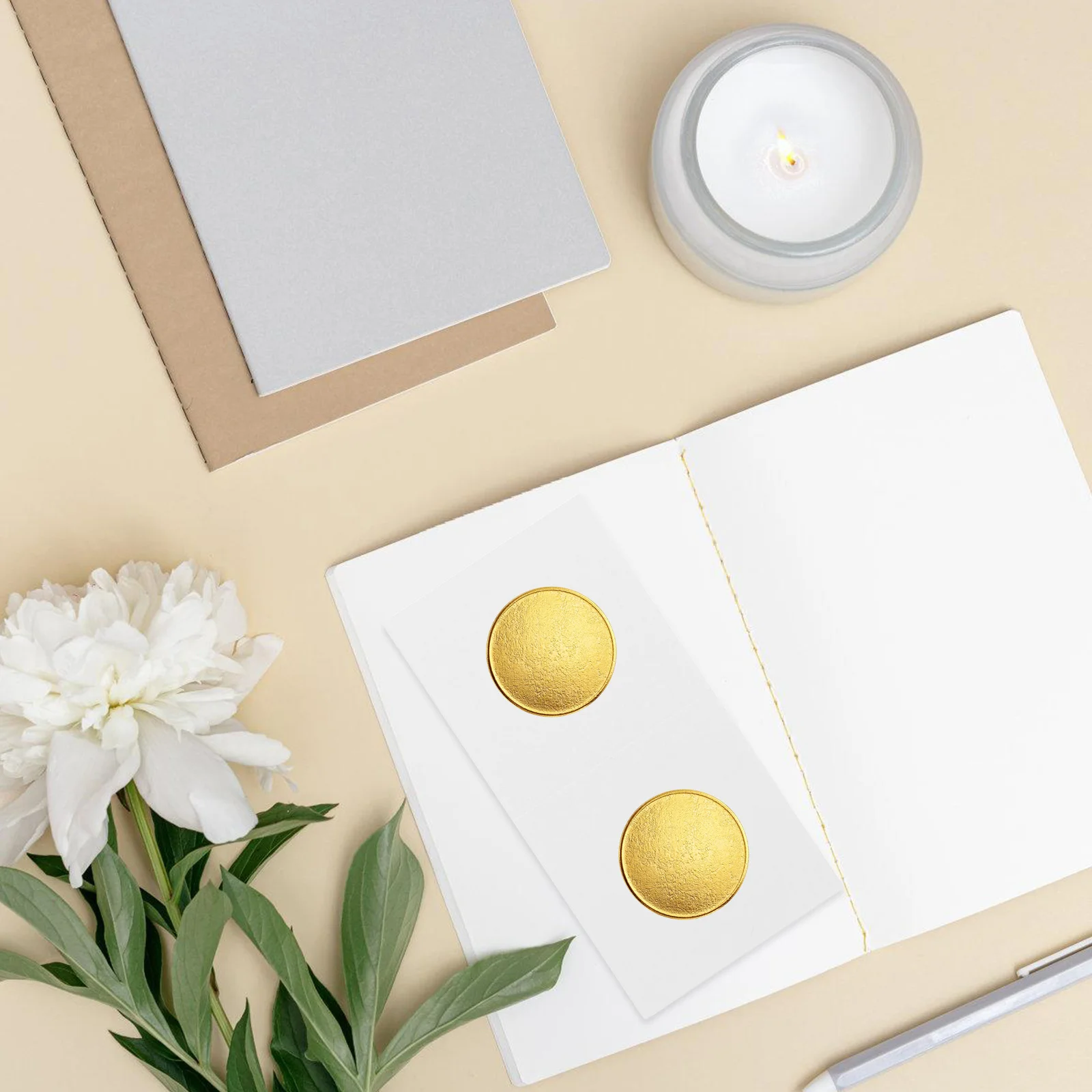 300 قطعة صندوق جمع العملات المعدنية حاملات العملات الورقية متعددة الوظائف لهواة الجمعين تخزين منظم شفاف مقاوم للخدش