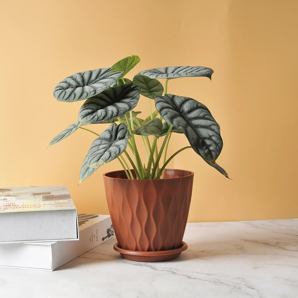 Gardening Tools For Plant Lovers Accessory Indoor Outdoor Planters Flower Pots Convenient Tray Easy Maintenance