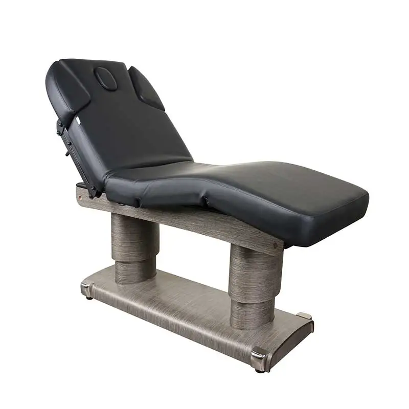 

Electric Massage Table with 4 Motors, Heavy Duty Multi-Functional Spa Salon Bed, 4 Motor Beauty Bed for Body Therapy Stretcher