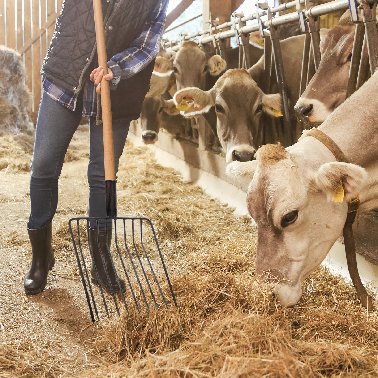 heavy-duty-steel-manure-fork-replacement-head-for-gardening-lawn-maintenance-agricultural-cultivation-soil-loosening-weeding